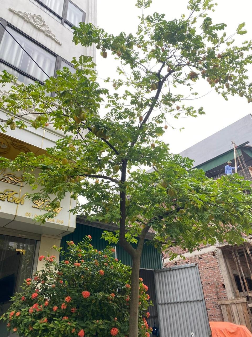 Nha Nghi Anh Dung Bed and Breakfast Ha Long Buitenkant foto